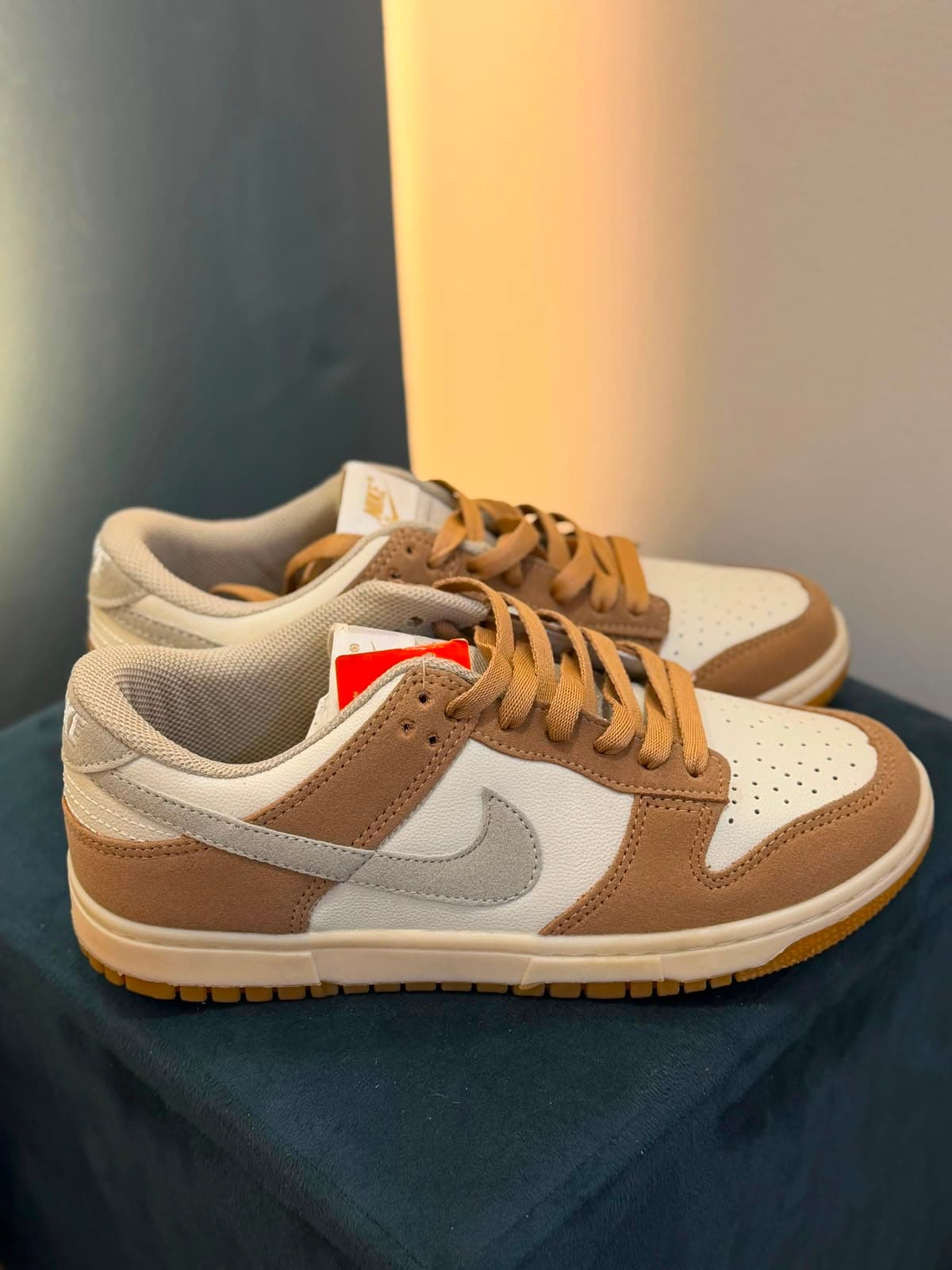 NK Dunk Bege