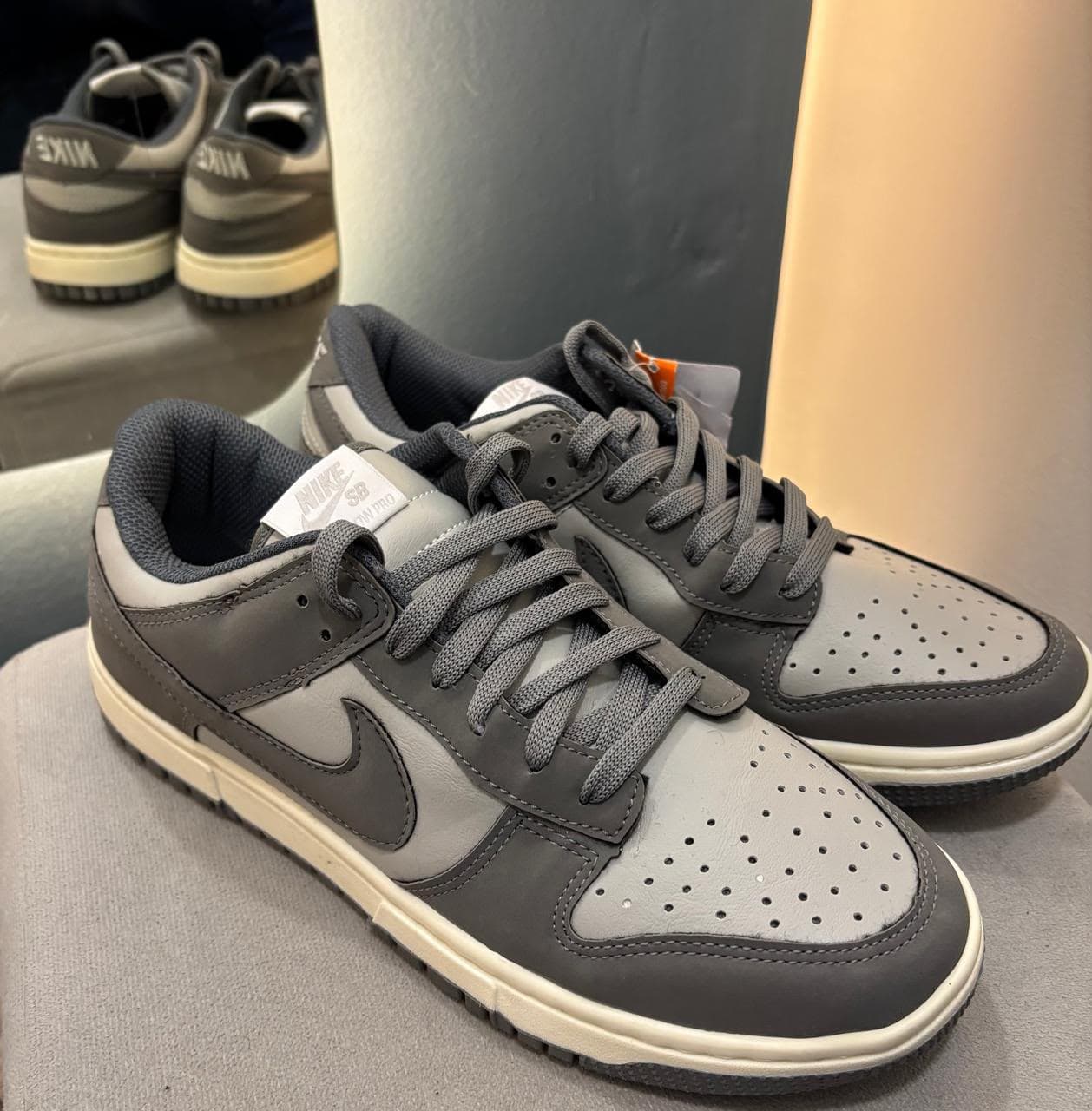 NK Dunk Cinza
