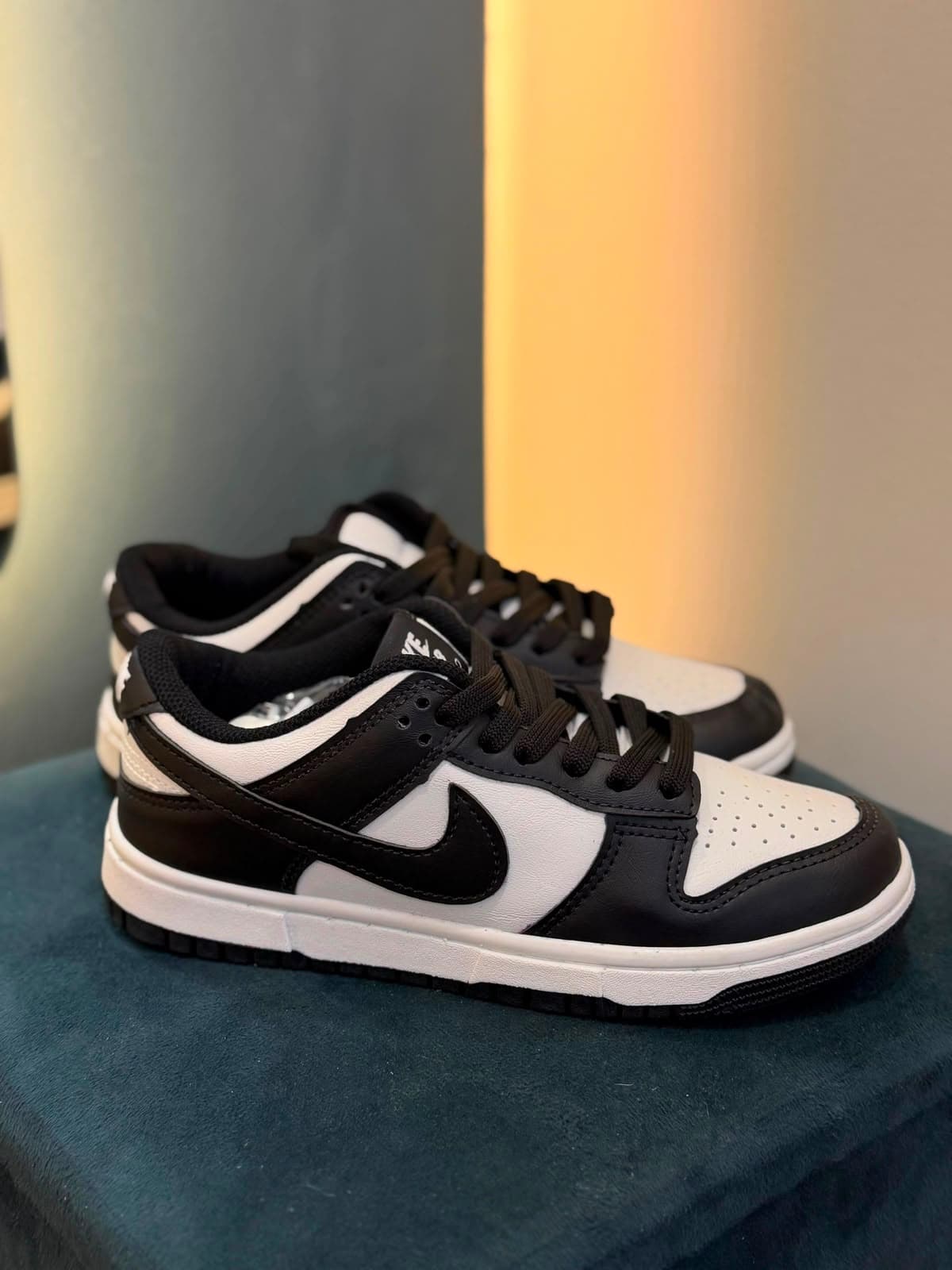 NK Dunk Panda