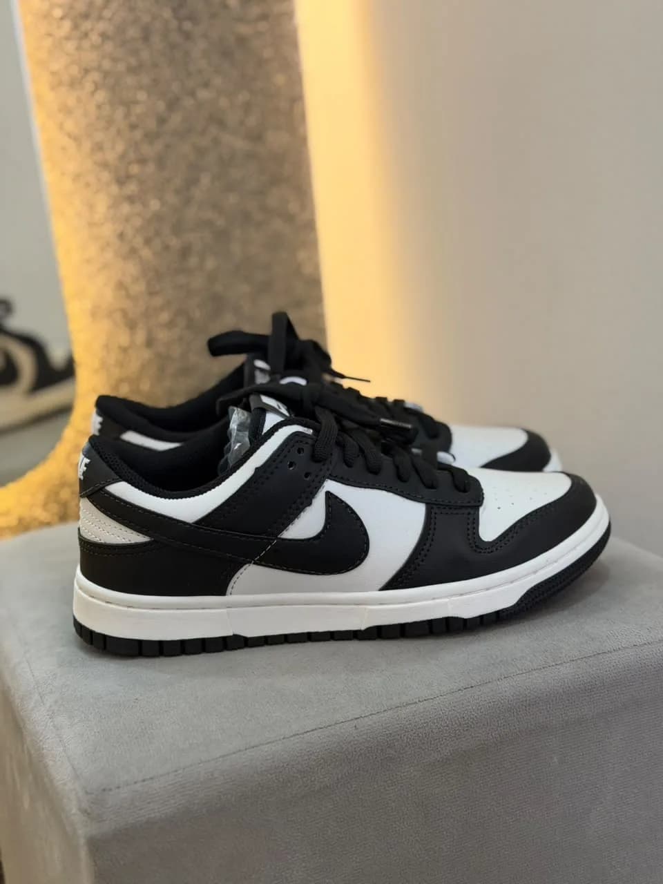 NK Dunk Panda